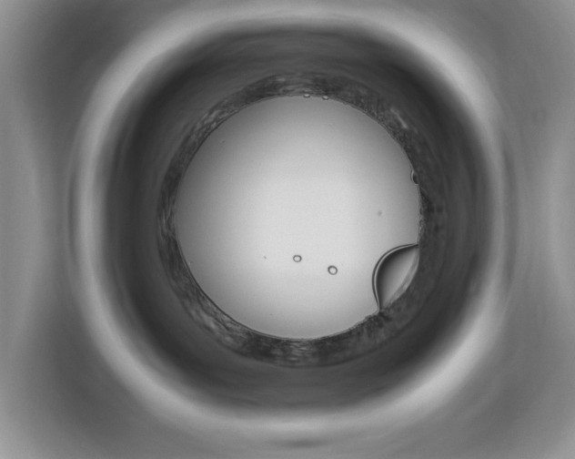 X0000113090143200908281015