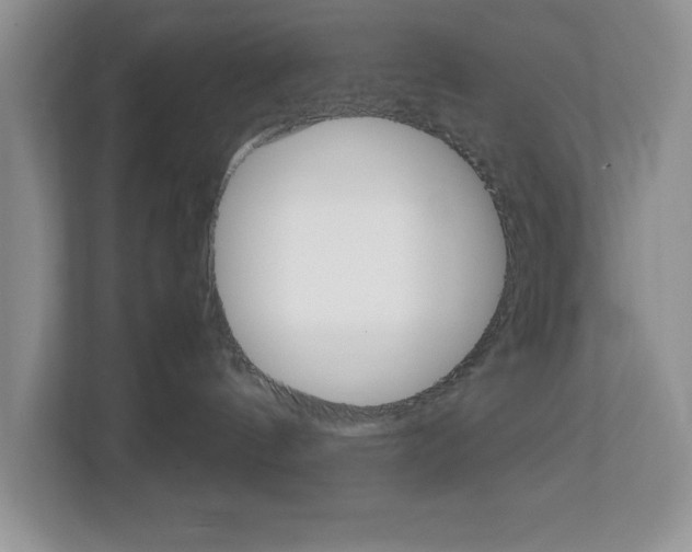 X0000113090144200908281015
