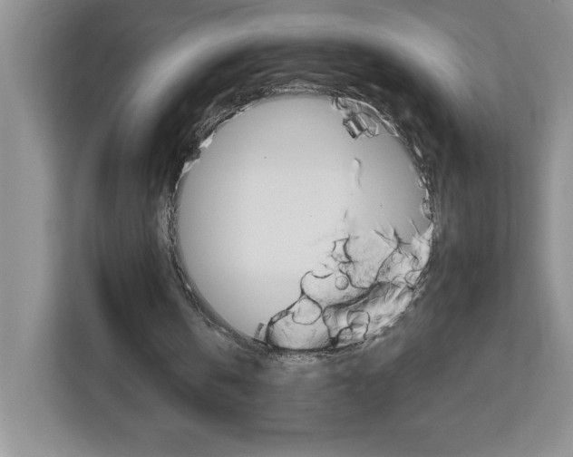 X0000113090146200908281014