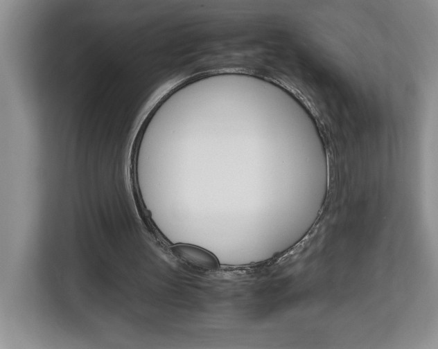 X0000113090147200908281014