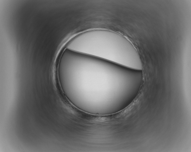 X0000113090152200908281014