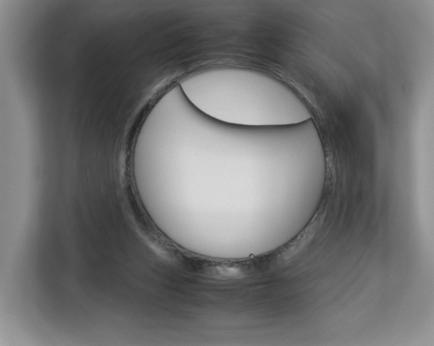 X0000113090159200908281014