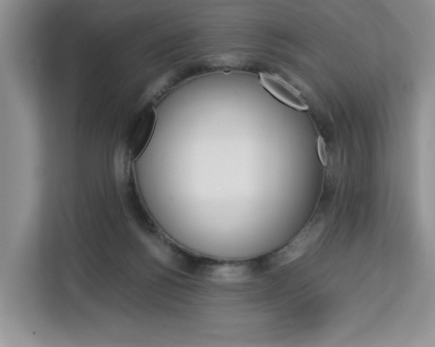 X0000113090168200908281014