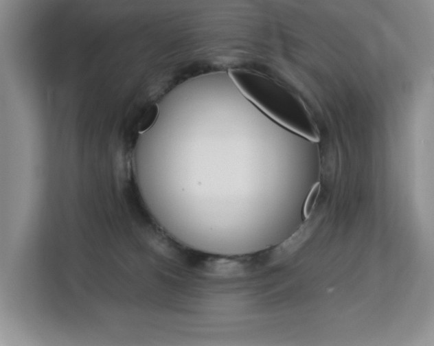X0000113090180200908281014