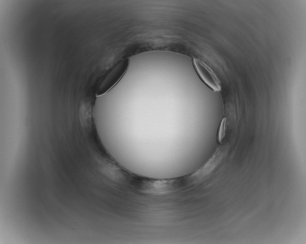 X0000113090184200908281015