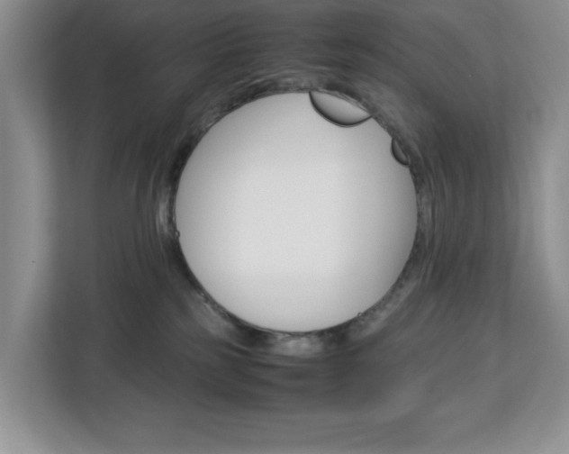 X0000113090185200908281015