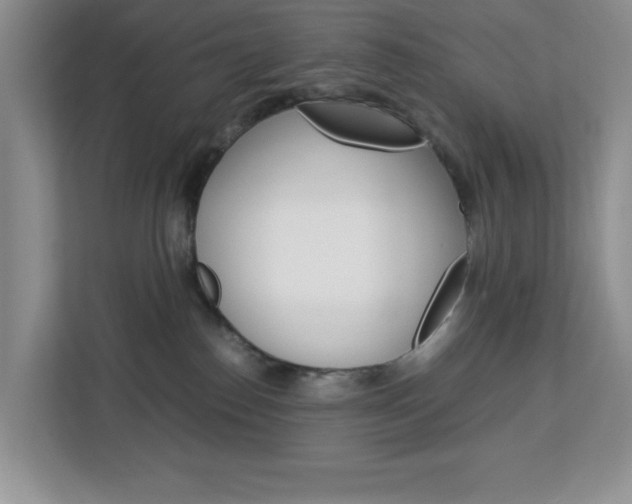 X0000113090186200908281015