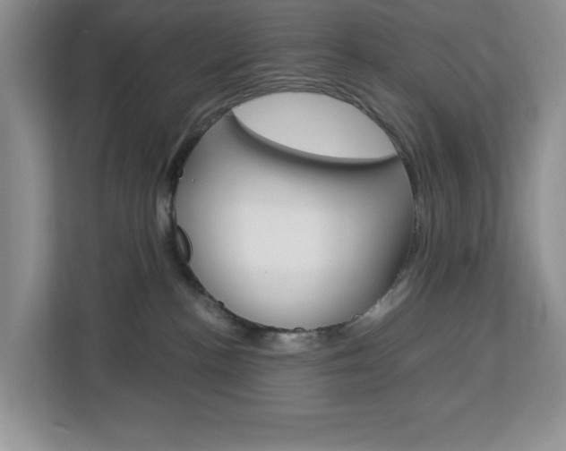 X0000113090188200908281015