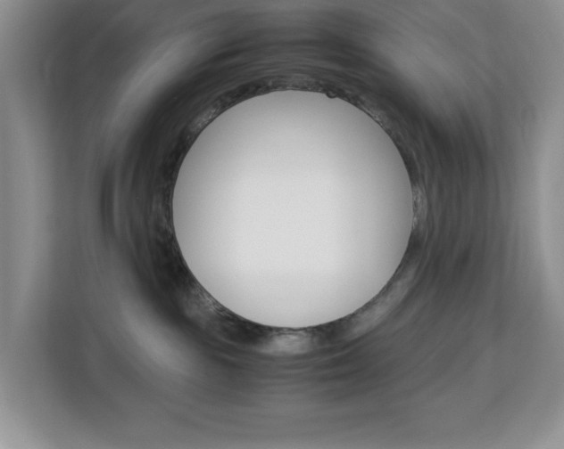 X0000113090189200908281015