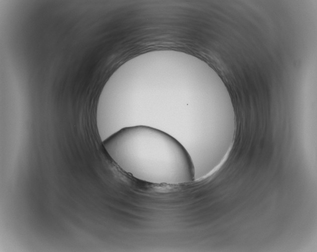 X0000113090190200908281015