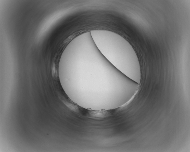 X0000113090191200908281015