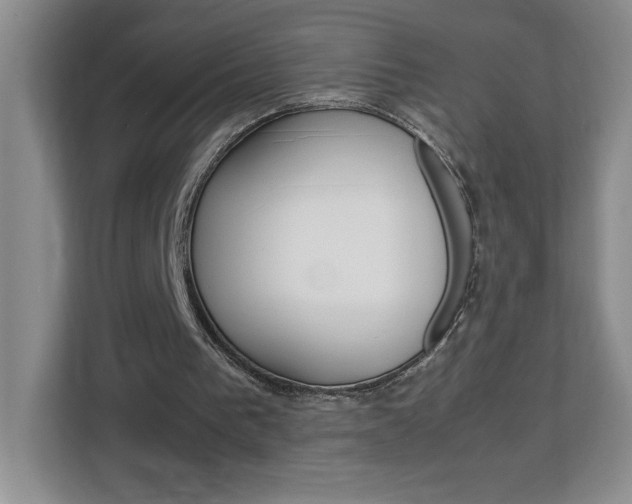 X0000113090193200908281014