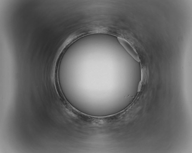X0000113090195200908281014