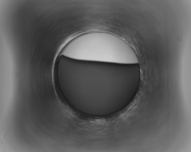 X0000113090196200908281014