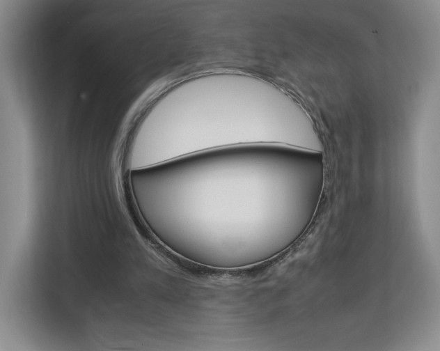 X0000113090197200908281014