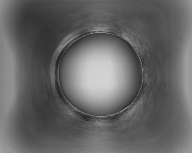 X0000113090199200908281014