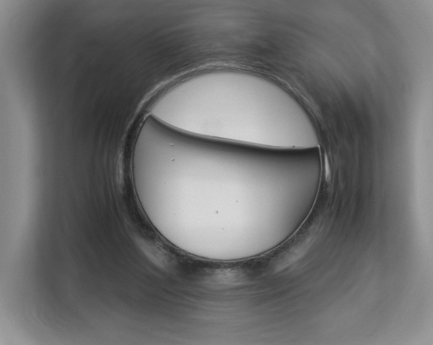 X0000113090204200908281014