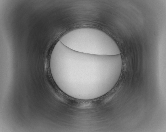 X0000113090206200908281014