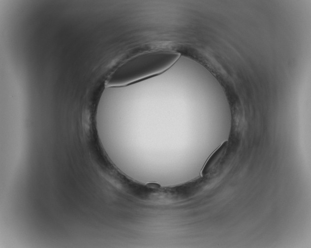X0000113090211200908281014