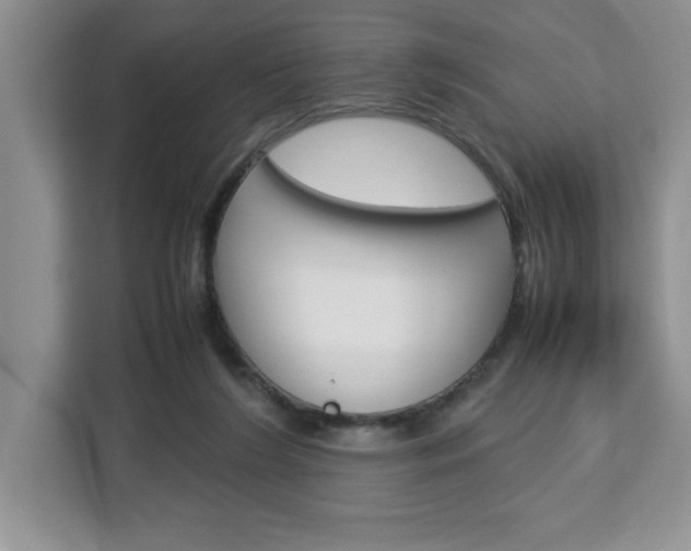 X0000113090212200908281014