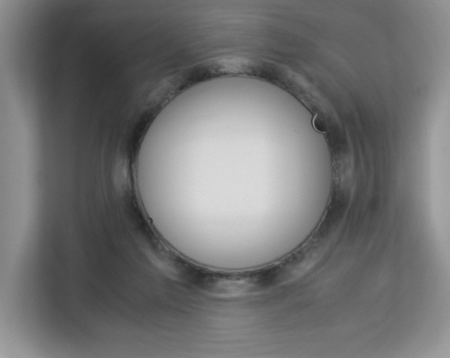 X0000113090213200908281014