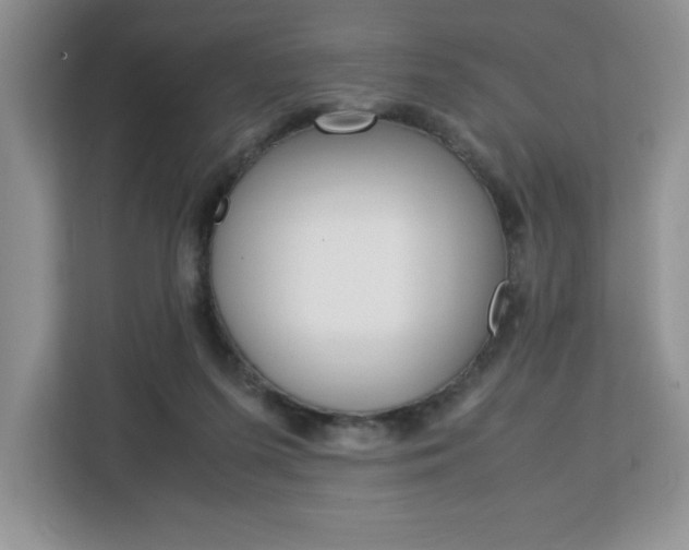 X0000113090215200908281014