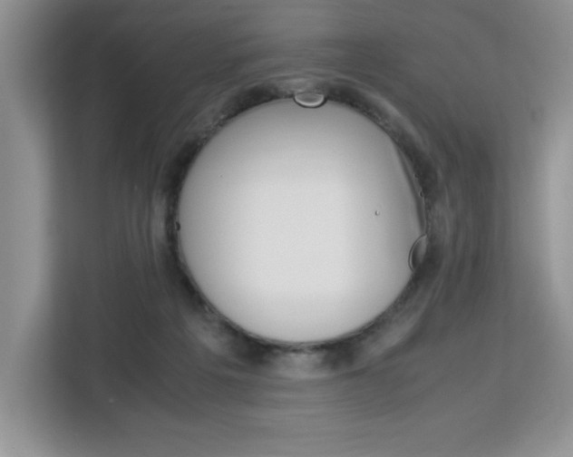 X0000113090217200908281014