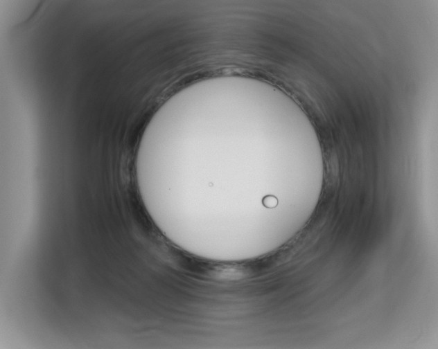 X0000113090218200908281014