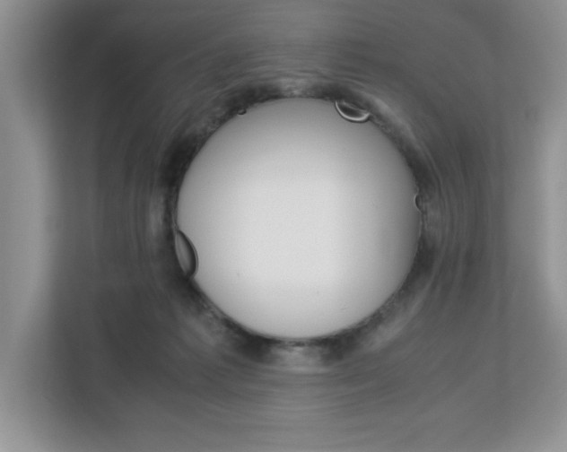 X0000113090221200908281014