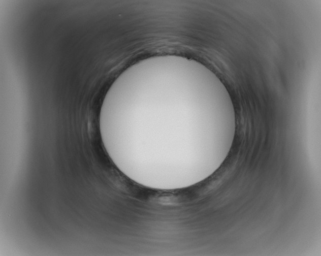 X0000113090228200908281014