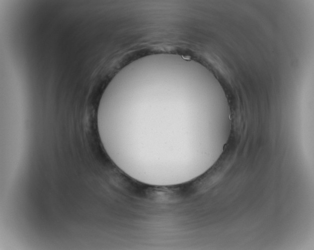 X0000113090229200908281014