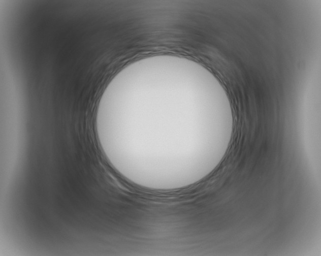 X0000113090231200908281013