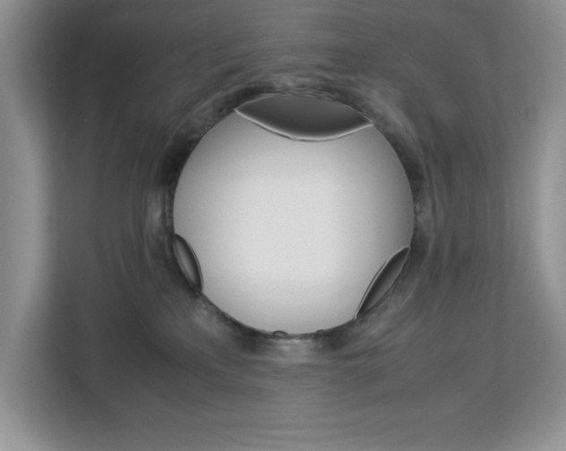X0000113090233200908281013