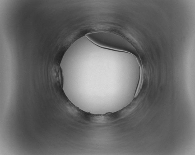 X0000113090237200908281013