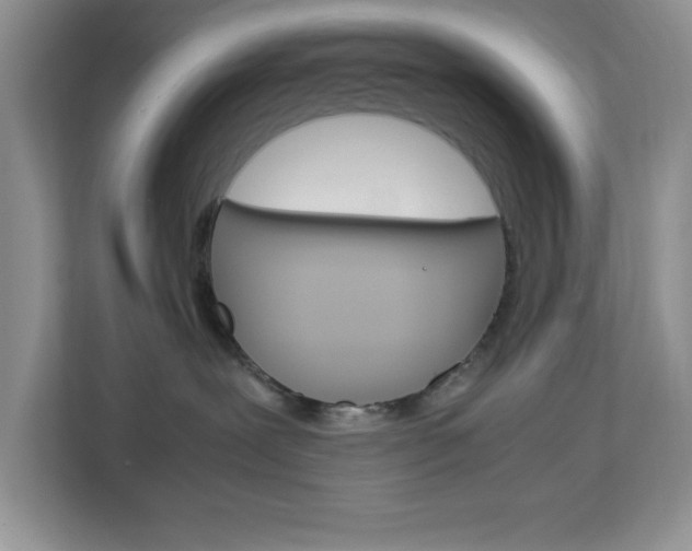X0000113090239200908281013