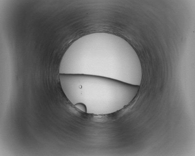X0000113090240200908281013