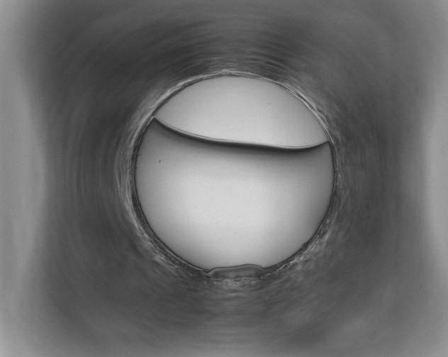 X0000113090241200908281013