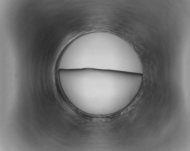 X0000113090242200908281013