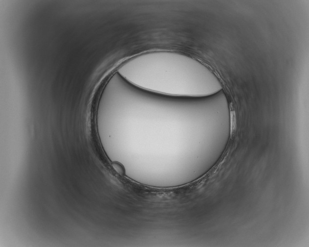 X0000113090243200908281013