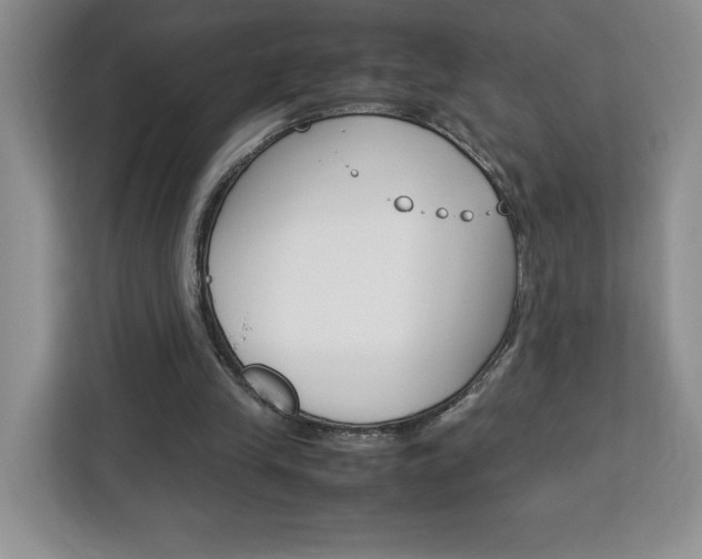 X0000113090245200908281013