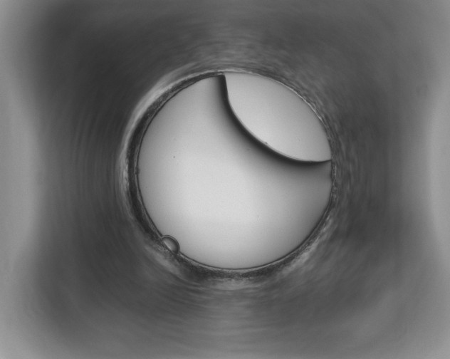 X0000113090246200908281013