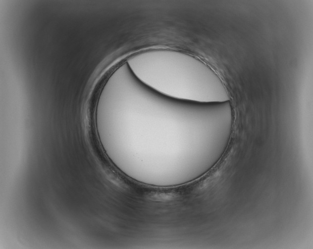 X0000113090247200908281013