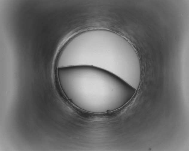 X0000113090248200908281013