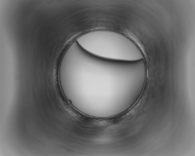 X0000113090249200908281013