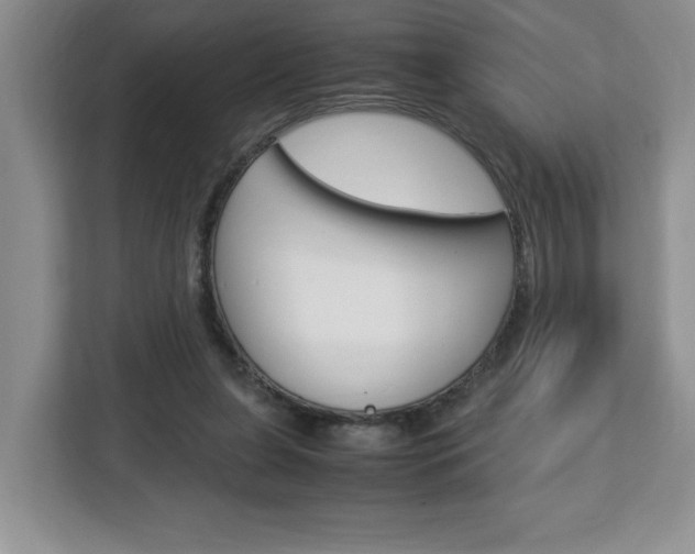 X0000113090255200908281013