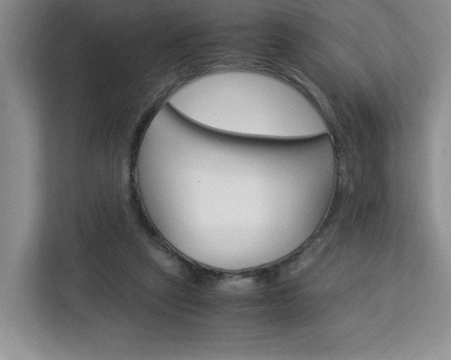 X0000113090257200908281013