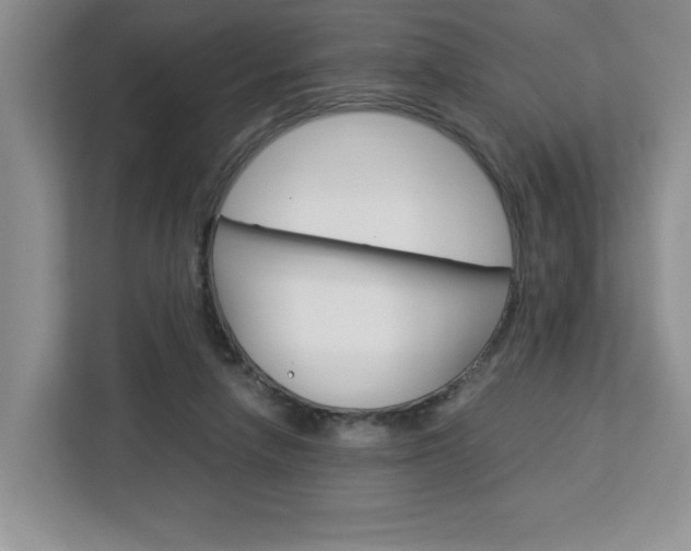 X0000113090258200908281013
