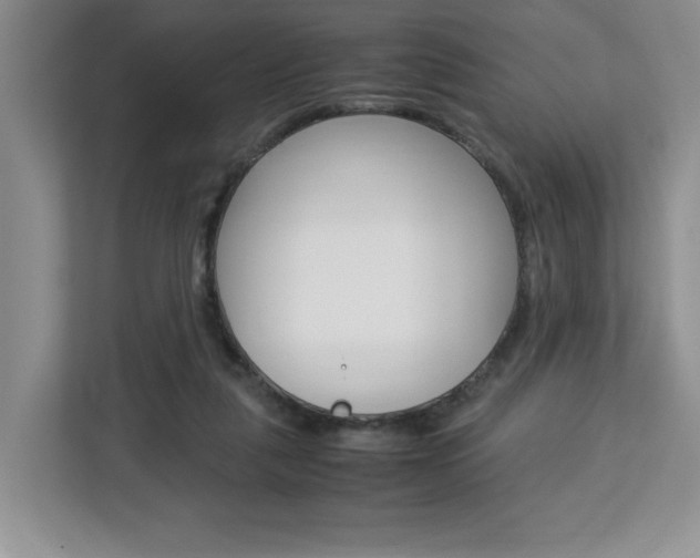 X0000113090259200908281013