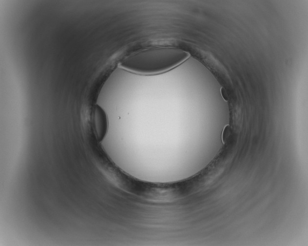 X0000113090260200908281013