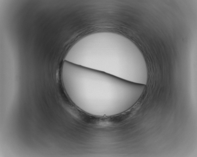 X0000113090262200908281013